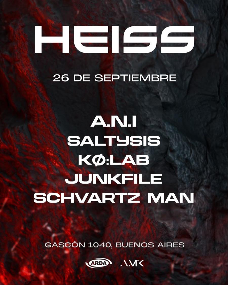 A.N.I. | Saltysis | Ko:Lab | Schvartz Man | Junkfile