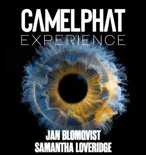 Camelphat