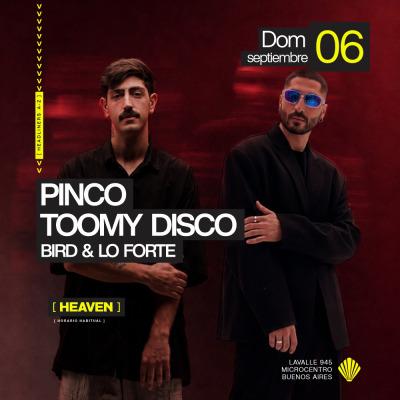 Pinco | Toomy Disco | Bird & Loforte
