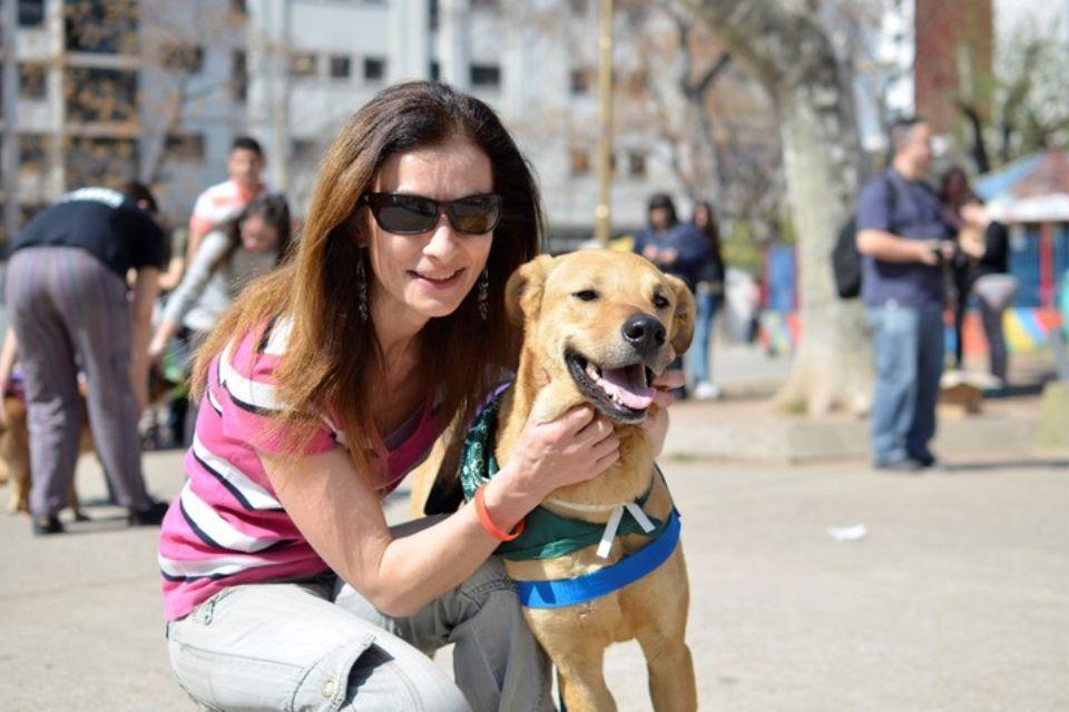 Jornadas de adopción