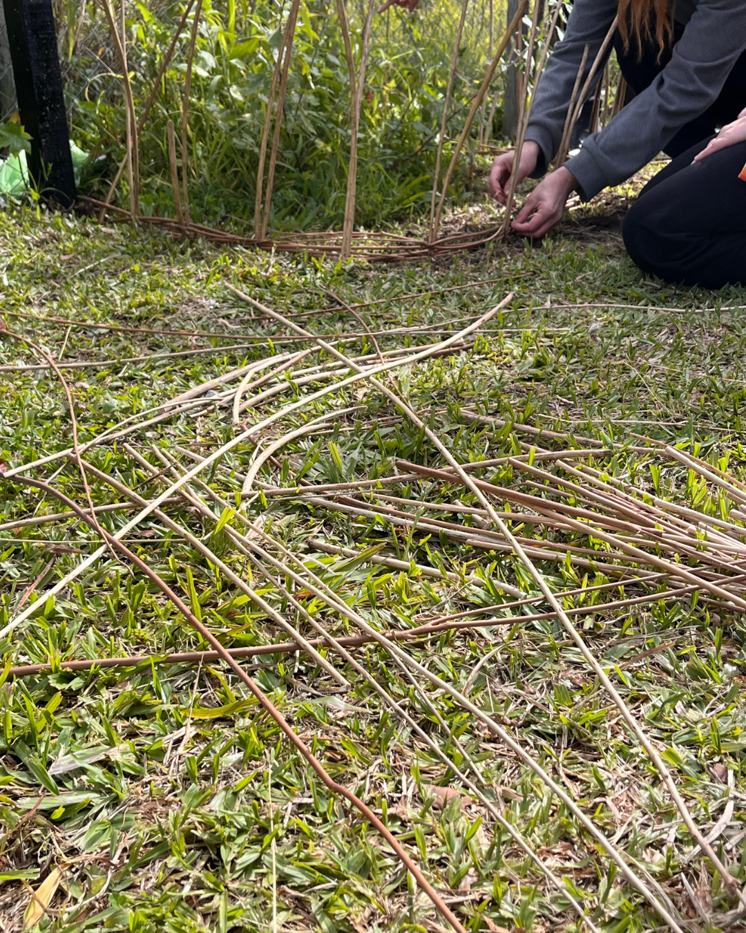 Las tres ecologías |  Voluntad jardinera