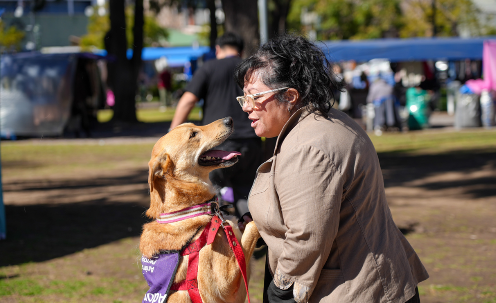 Jornadas de adopción