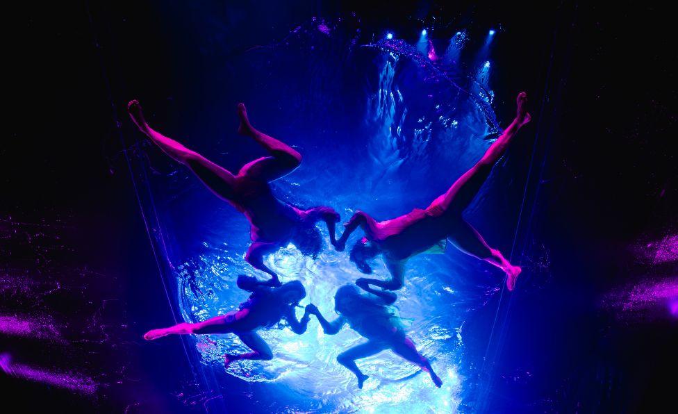 Fuerza Bruta