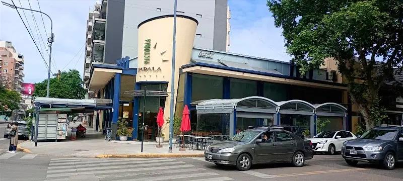 Impala Victoria, imagen 1